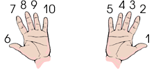 Нумерация пальцев